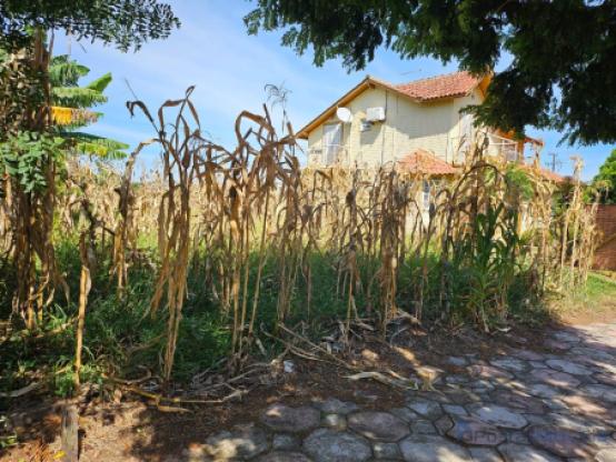 Terreno no Centro de Morro Reuter