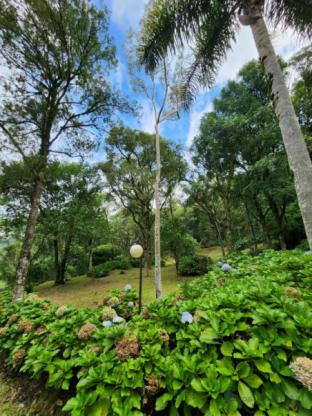 Área de terra
